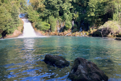 IMG_8264
